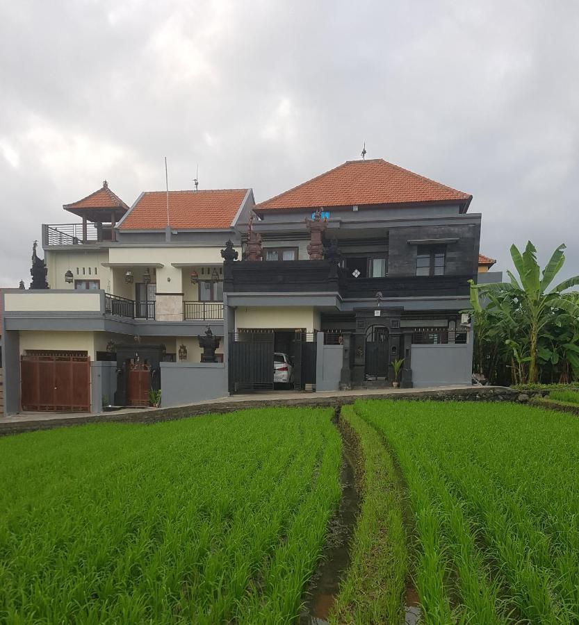 קנגו Yogi Homestay מראה חיצוני תמונה
